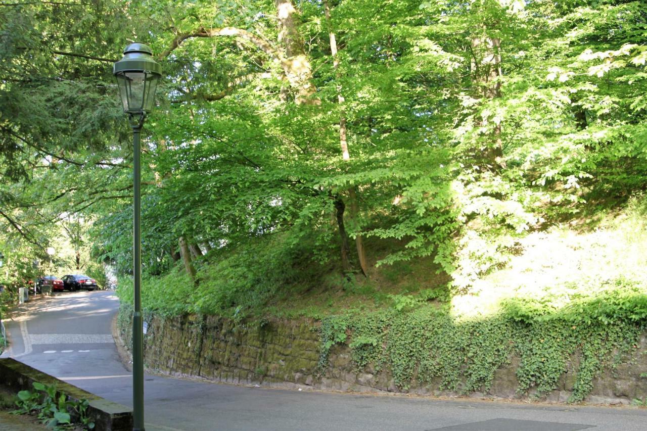 Family Suites & Parking Baden-Baden Kültér fotó